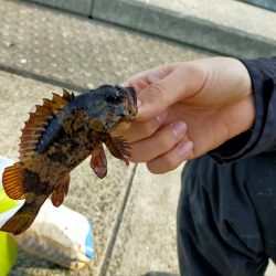 神戸空港ライトゲーム