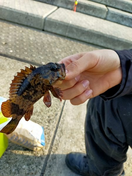 神戸空港ライトゲーム