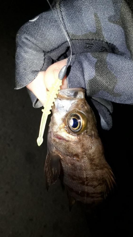 野暮用にて淡路島IN