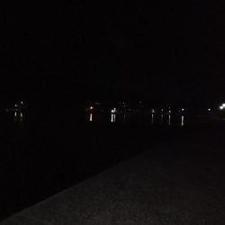 エギング、ウキ釣り