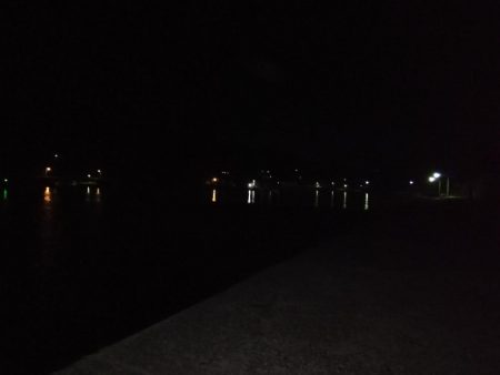 エギング、ウキ釣り