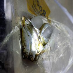 まんえん防止解除