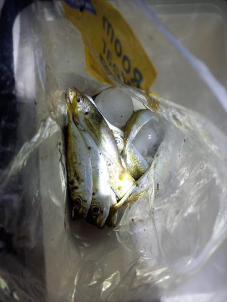 まんえん防止解除