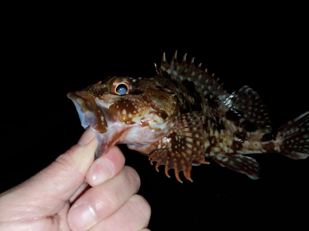 雨の合間をぬって