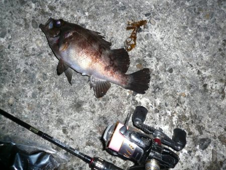 吐くハクぱたーん？