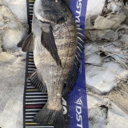 イチノ兄弟、釣果！