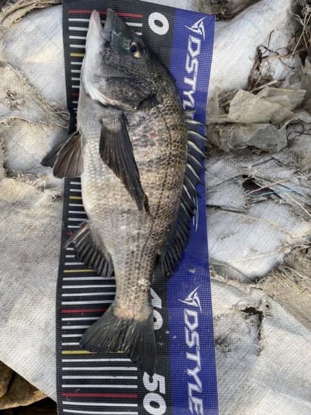 イチノ兄弟、釣果！