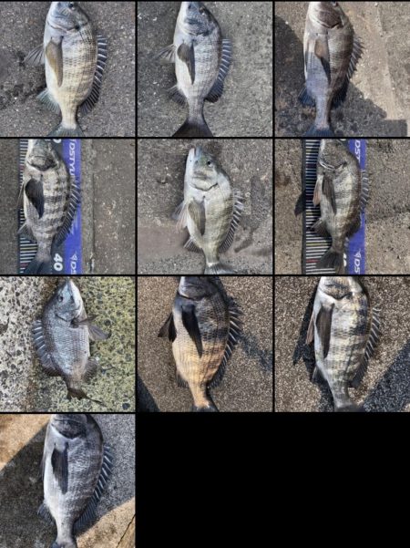 イチノ兄弟、釣果!