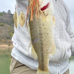 シーズン開幕！