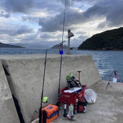 ショアジギング、のませ