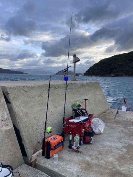 ショアジギング、のませ