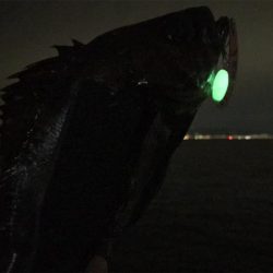 「パクッツ」と いく算段