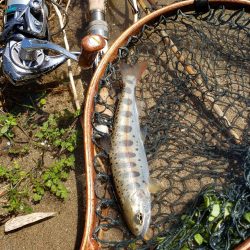 ダウンでしか食わせられなかった