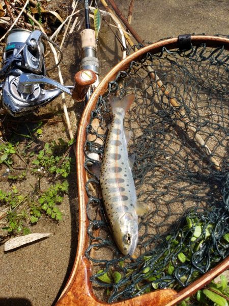 ダウンでしか食わせられなかった