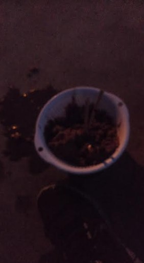 アジが苦しいこのごろですがダメ元でアジ釣りに☆彡