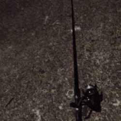 続くアジの不作。。。 ちゅらい(;´д` ) でもボウズって訳ではないのでアタック!!