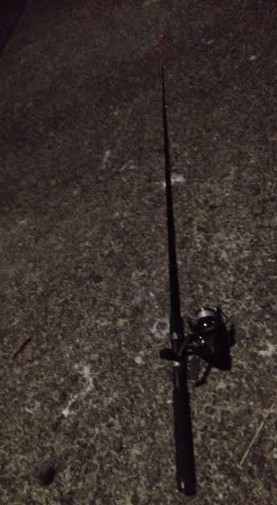 続くアジの不作。。。 ちゅらい(;´д` ) でもボウズって訳ではないのでアタック!!