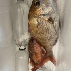 久しぶりの船釣り