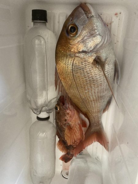 久しぶりの船釣り