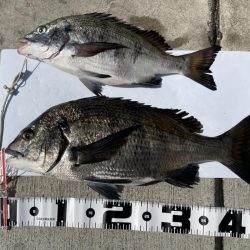 モーニングサービス