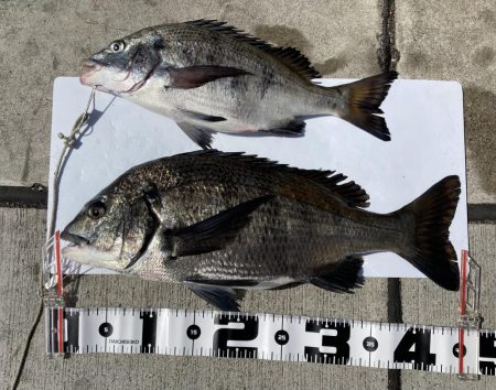 モーニングサービス