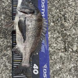 イチノ兄弟、釣果!