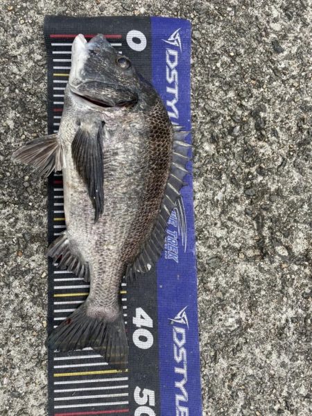 イチノ兄弟、釣果!