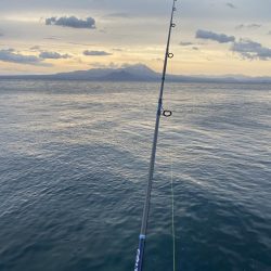 サワラ狙いからのヤリイカ