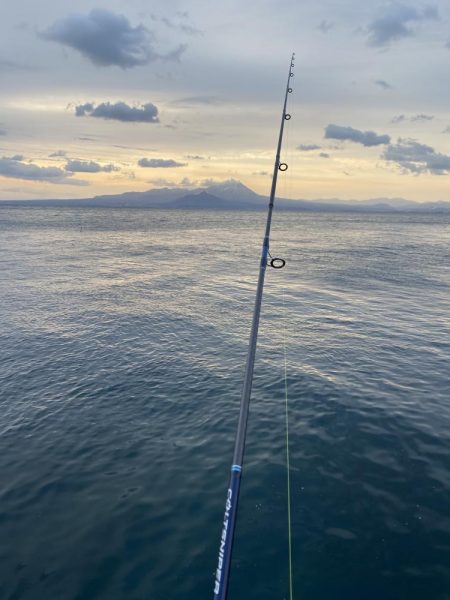 サワラ狙いからのヤリイカ