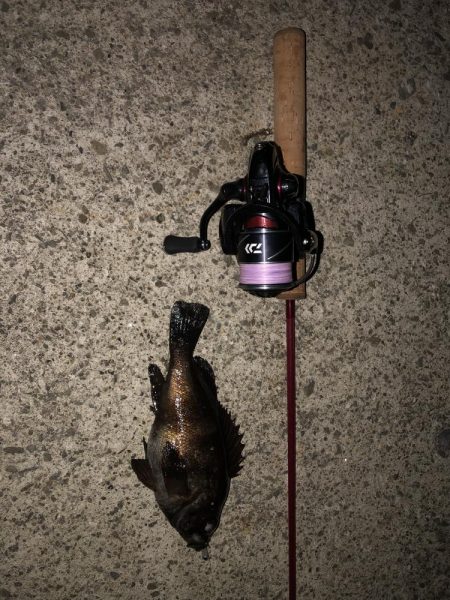 メバルの注文承りました。