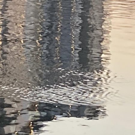 ドブ川の春はハクパターンから