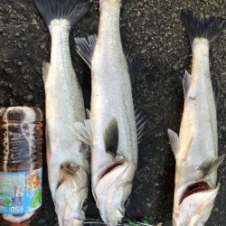 マイクロパターン