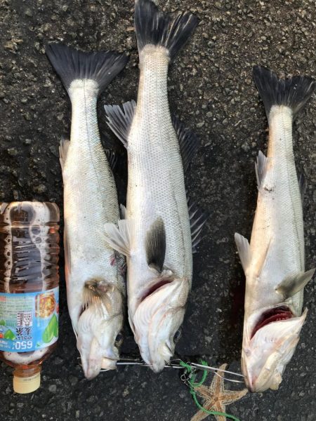 マイクロパターン