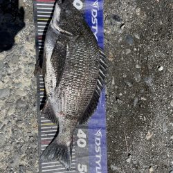 イチノ兄弟、釣果!