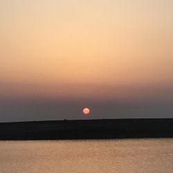 ちょっと大きくなったセイゴ！