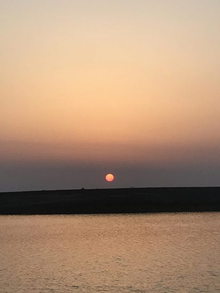 ちょっと大きくなったセイゴ！