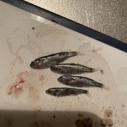 干潮でも意外と