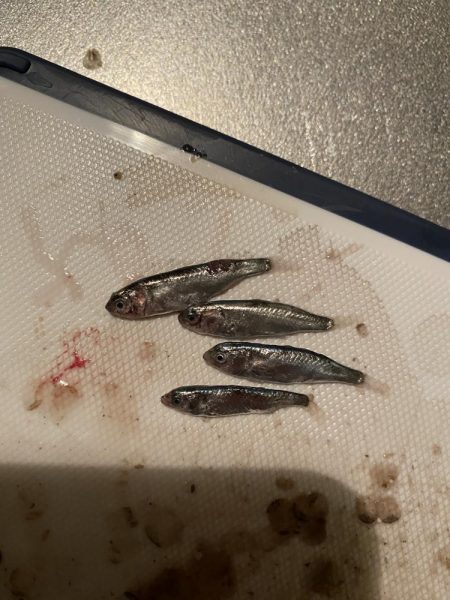 干潮でも意外と