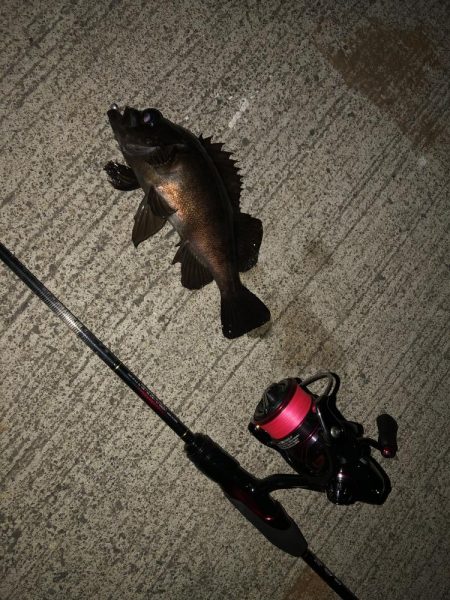 究極、ベビサの1.5！