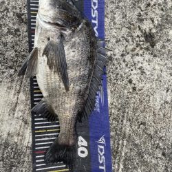 イチノ兄弟、釣果！