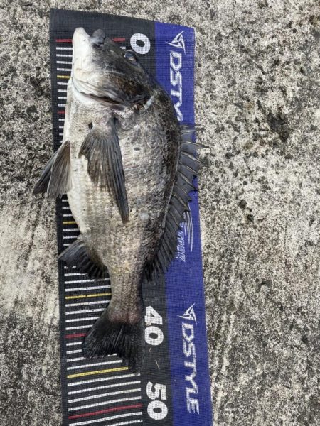 イチノ兄弟、釣果！