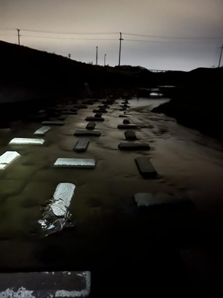 コイツは裏切らない！！