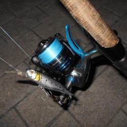 ちょこっとテクトロ