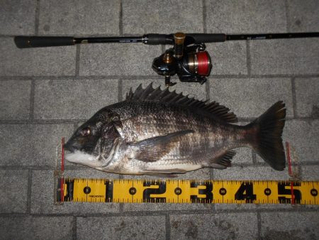 岸壁ノックで叩きまくる