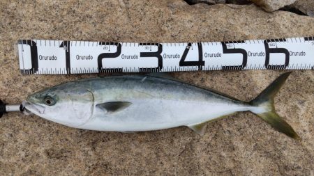 ヒラメ狙いでまさかの・・