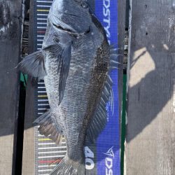 イチノ兄弟、釣果!