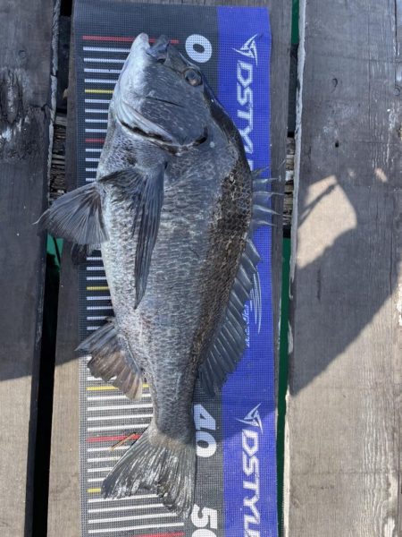 イチノ兄弟、釣果!