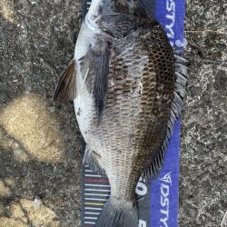 イチノ兄弟、釣果!