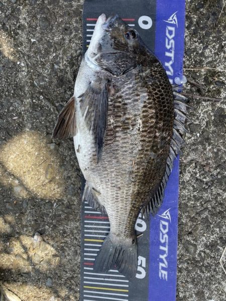 イチノ兄弟、釣果!