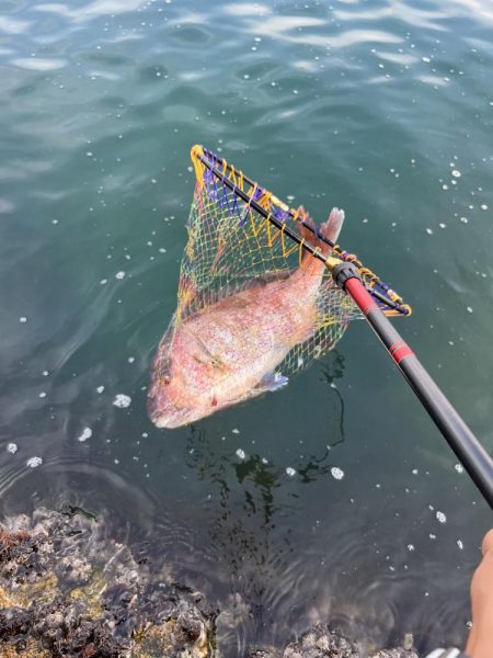 いきなりの大型にビックリ